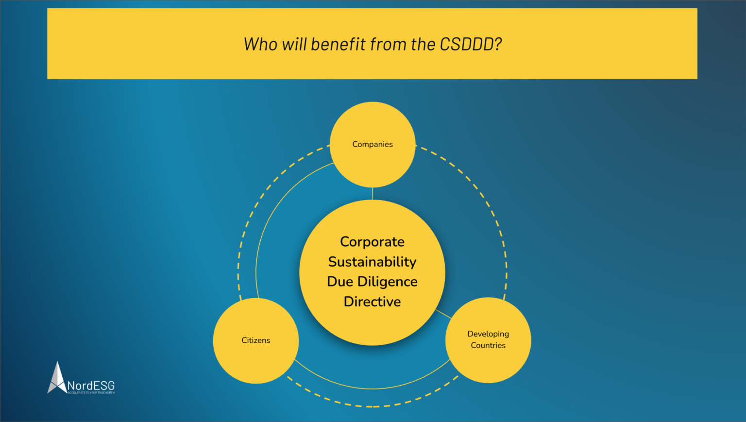 The Corporate Sustainability Due Diligence Directive (CSDDD) The Corporate Sustainability Due Diligence Directive (CSDDD)