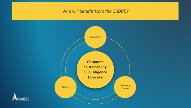 The Corporate Sustainability Due Diligence Directive (CSDDD)