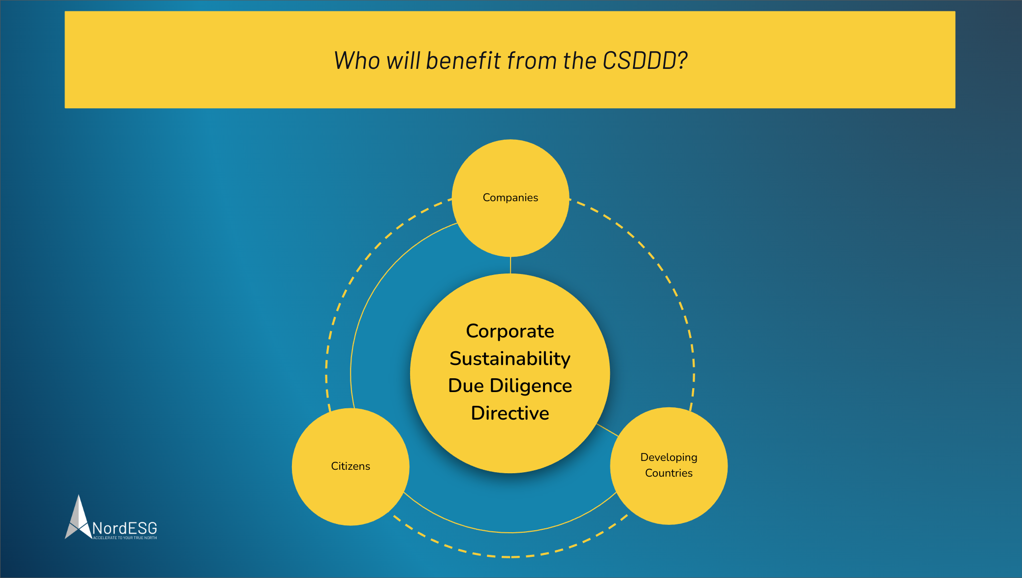 Who will benefit from the Corporate Sustainability Due Diligence Directive CSDDD